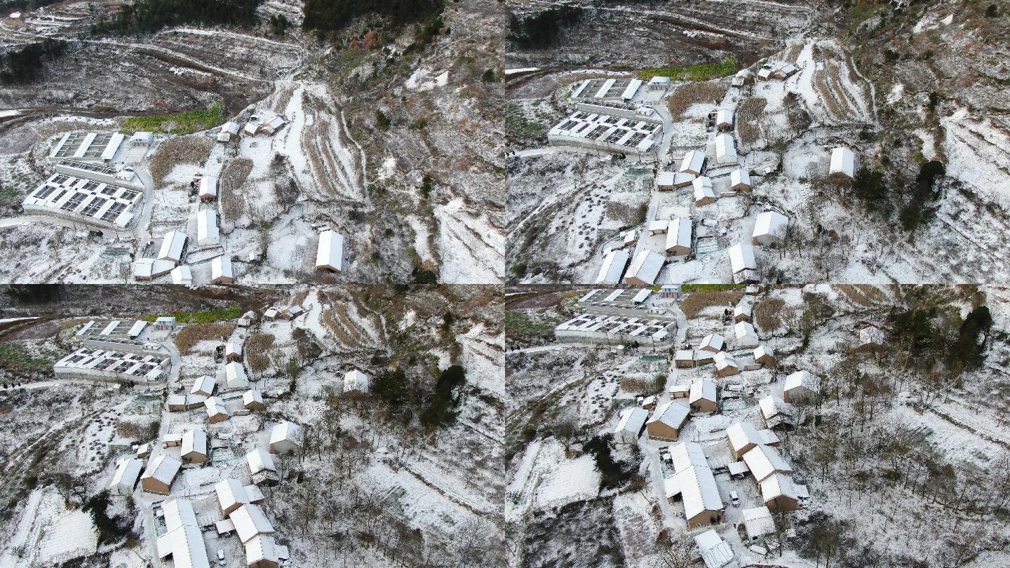 航拍4k村庄雪景