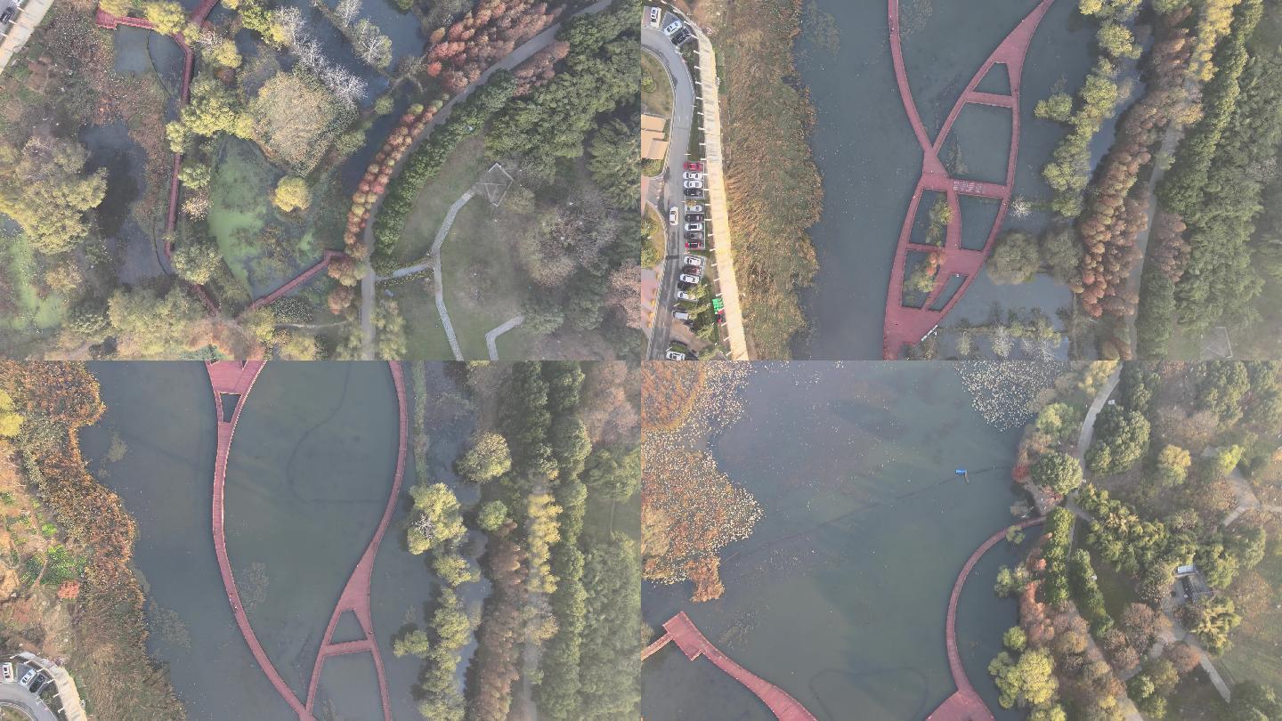 花山软件新城-花山湿地公园