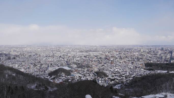 城市在冬天被雪覆盖的顶视图。