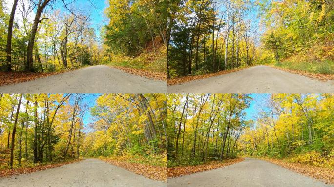 新罕布什尔州白山的秋天路。