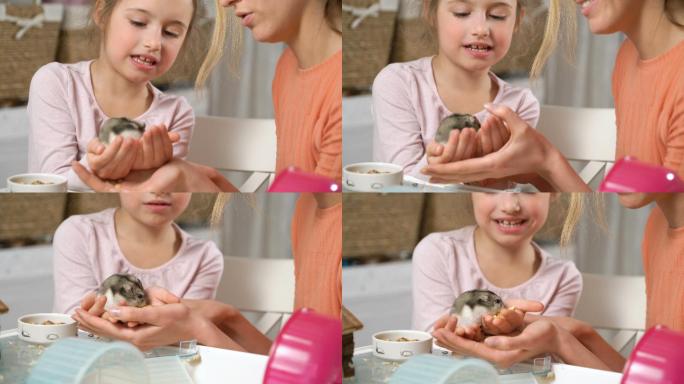 一个小女孩和她的妈妈在和一只小仓鼠玩