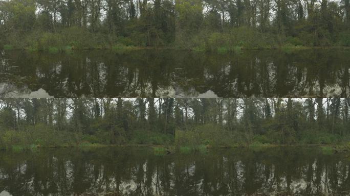 北爱尔兰乡村池塘实拍