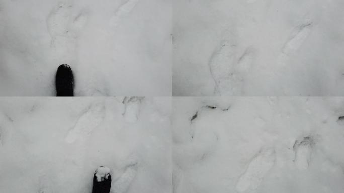 在雪地里行走的人