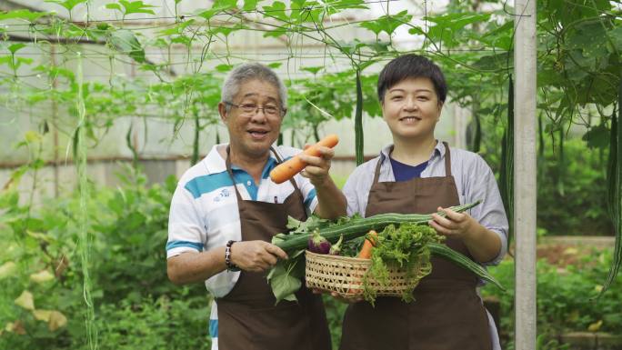 有机农场温室大棚智慧物联网瓜果绿色