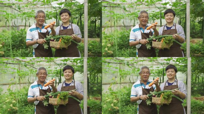 有机农场温室大棚智慧物联网瓜果绿色