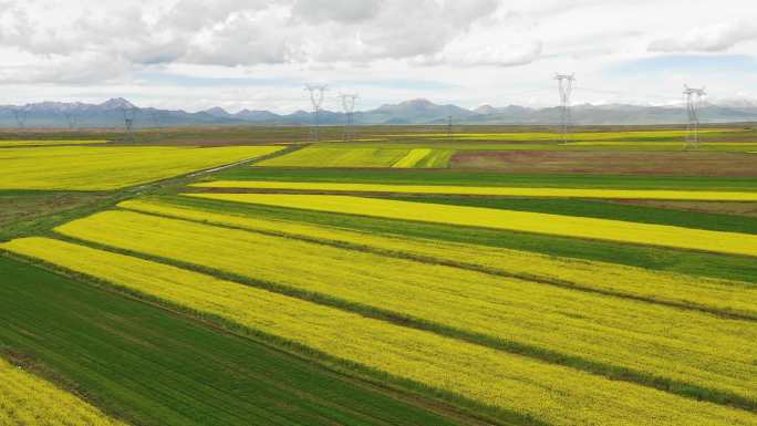 西藏高原农田的高角度视图