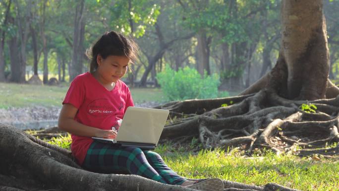 女孩坐在树下使用电脑