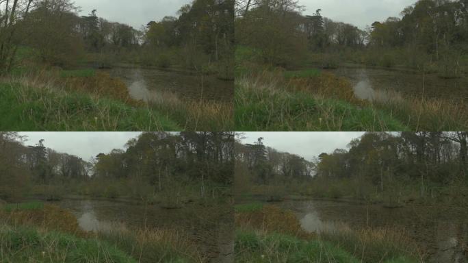 北爱尔兰的春天乡村池塘