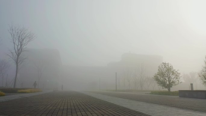 在雾中行走