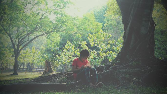 一个阳光明媚的夏日，女孩坐在树下看书。