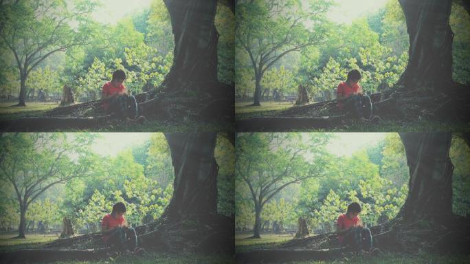 一个阳光明媚的夏日，女孩坐在树下看书。