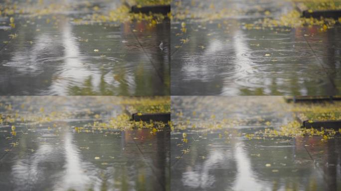 地面积水雨滴银杏落叶伤感素材