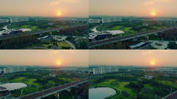 宁波植物园落日