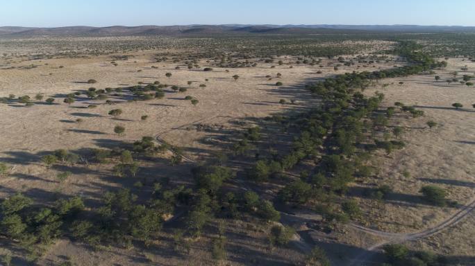 纳米比亚非洲大草原