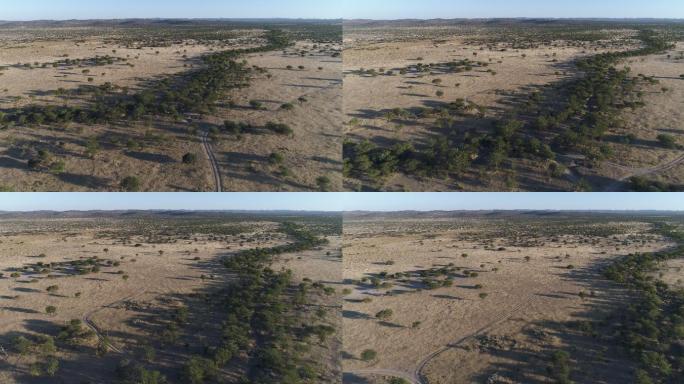纳米比亚非洲大草原