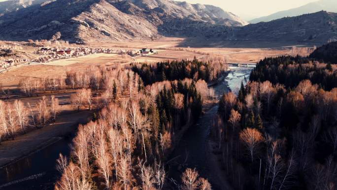 新疆-秋景-可可托海-白桦林 溪流
