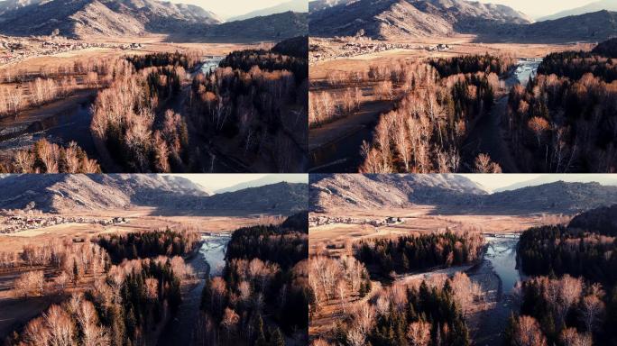 新疆-秋景-可可托海-白桦林 溪流