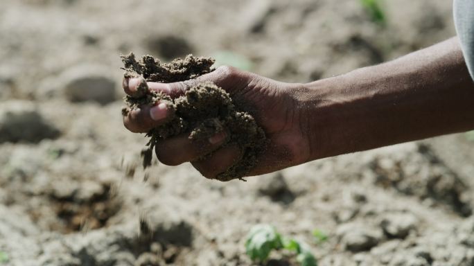 农场肥沃的土壤抓土揉搓土地农业