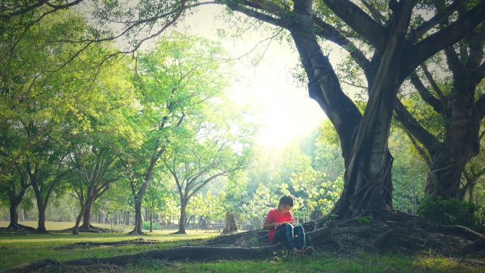 一个阳光明媚的夏日，女孩坐在树下看书