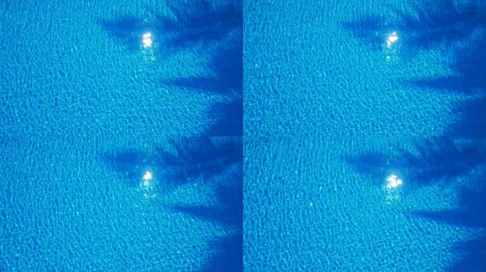 游泳池的蓝色水与灯光反射