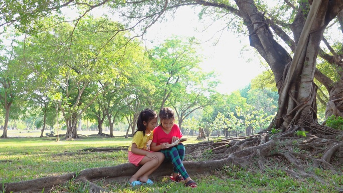 一个阳光明媚的夏日，女孩们坐在树下看书