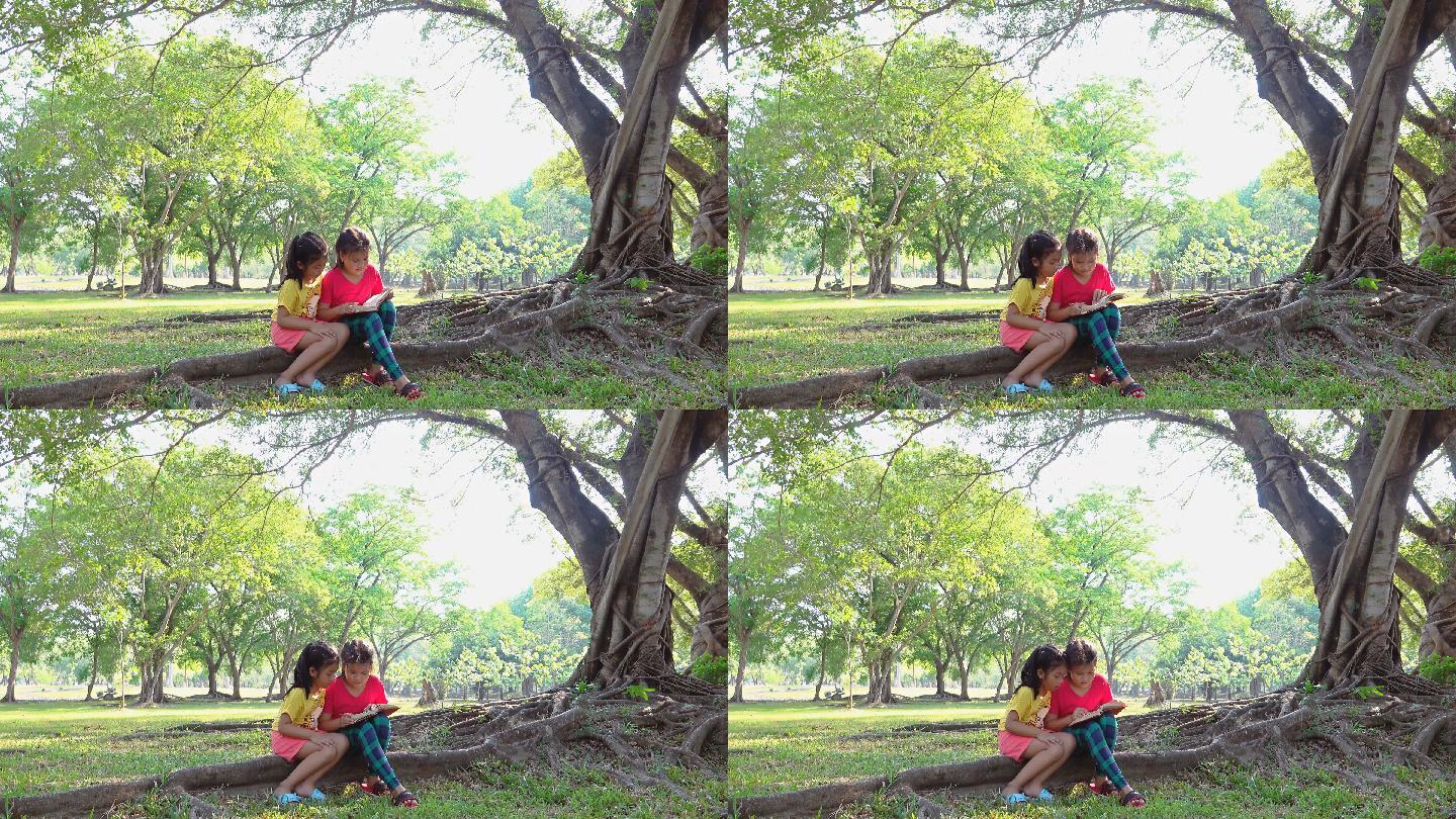 一个阳光明媚的夏日，女孩们坐在树下看书