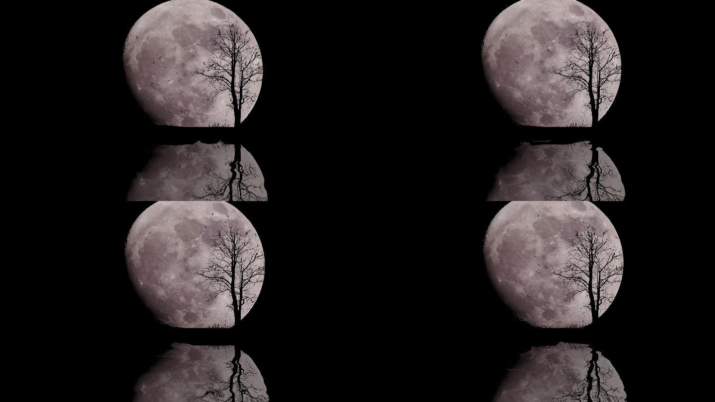 满月倒影镜像圆月明月月球