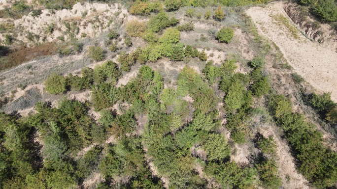 4lK黄土高原耕地退耕还林植树荒山绿化