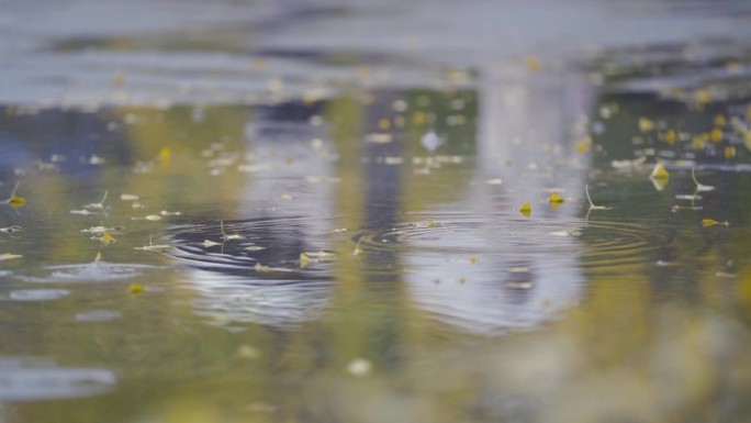 雨天水滴落叶脚步积水倒影伤感素材