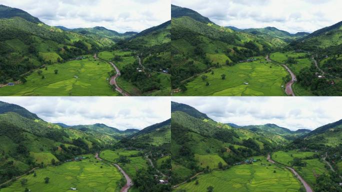 鸟瞰图稻田大山山区森林植被种植