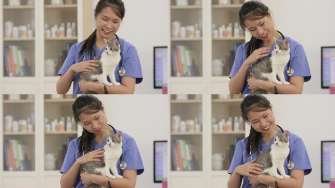 兽医抱着一个可爱的小猫