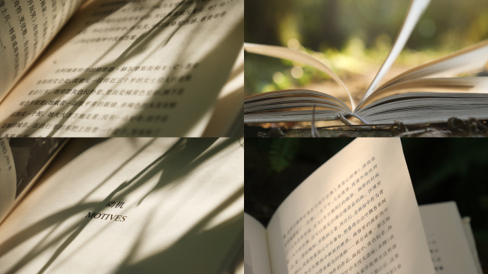 阳光下的书本上的光影，书页4k视频素材