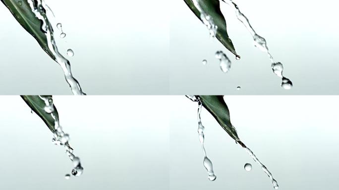 水从绿叶上倾泻下来的超级慢动作镜头