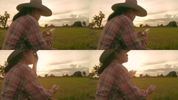 坐在稻田里使用手机的女人