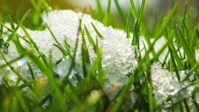 融化的雪变成液态水的延时拍摄。