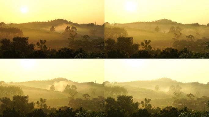 晨雾，国画风格，晨光，露水滴下