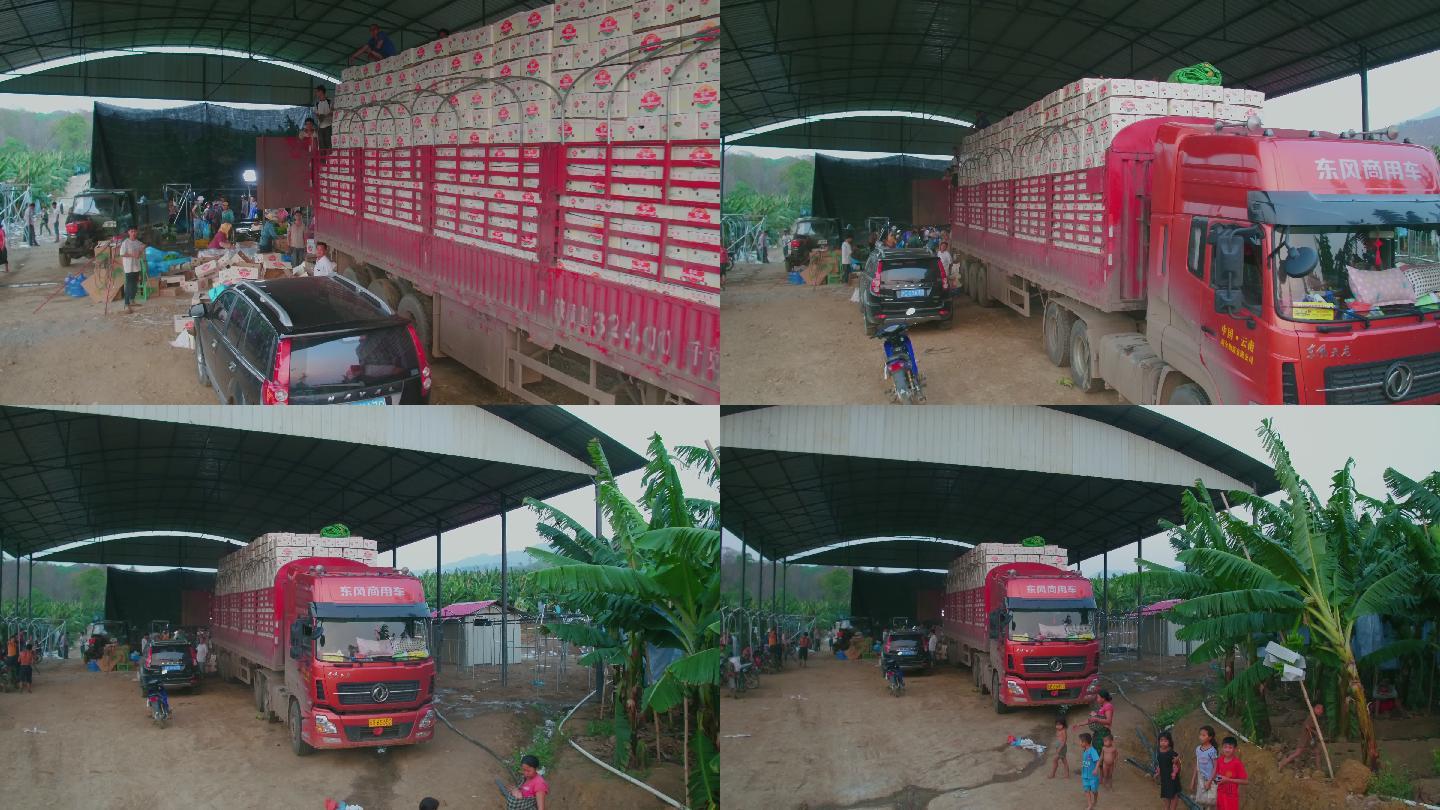 航拍老挝香蕉种植园的运输卡车
