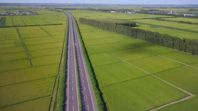 航拍农田与公路