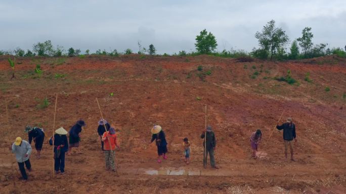 航拍老挝农民在田地里播种