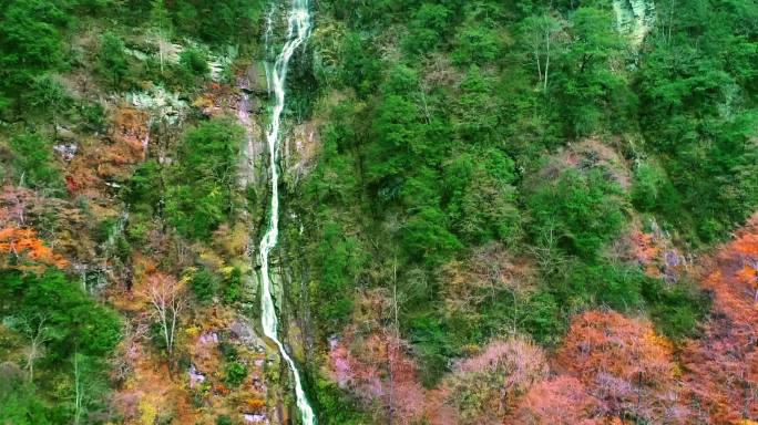 秦岭秋天景色红叶秋季秋色自然生态陕南风光