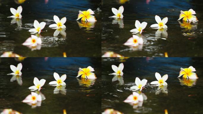 雨点落在地板上，上面有五颜六色的花朵