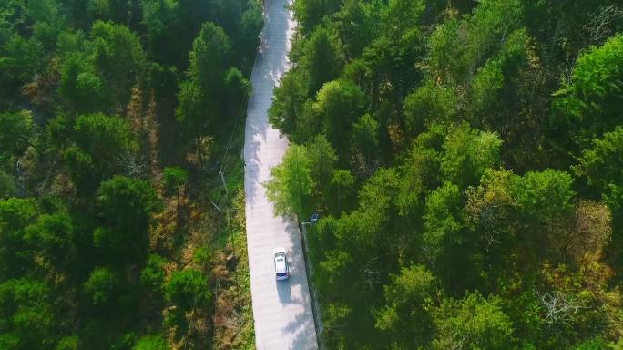 车辆山间山路行驶自驾穿越秦岭树林沿山公路