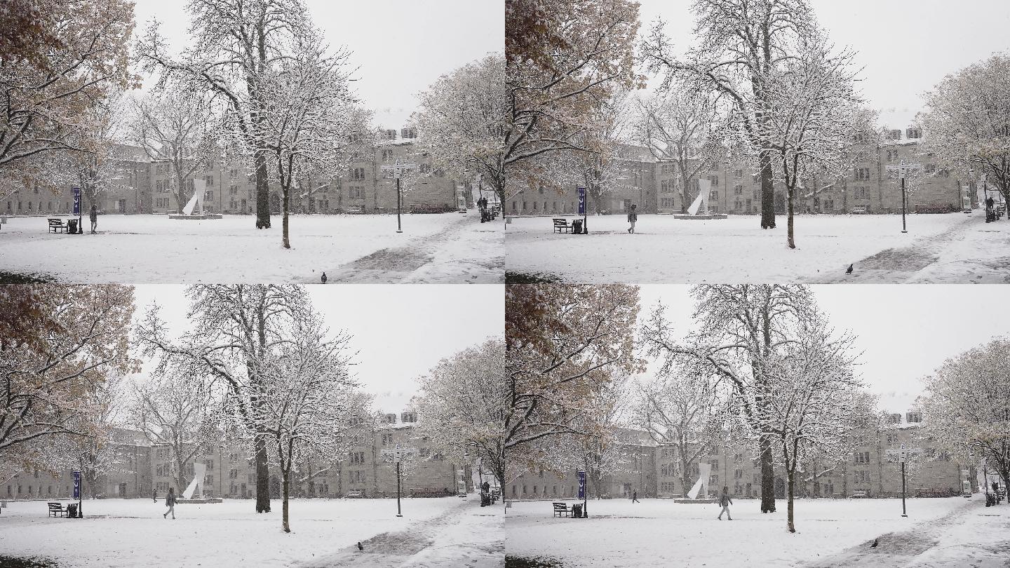 下雪的哈佛4