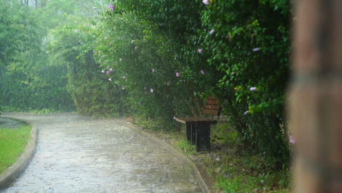 雨中公园小景