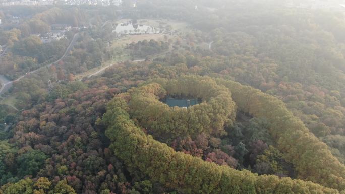 航拍南京钟山景区秋天