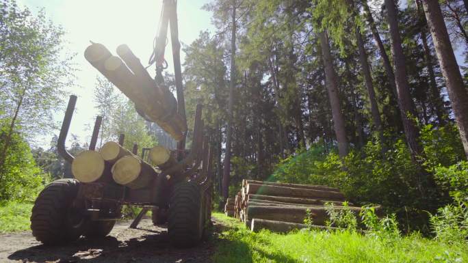 堆放木材机器砍伐伐树车辆实拍视频