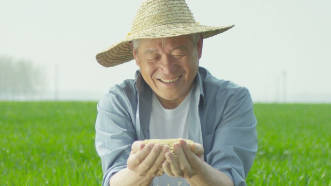 中国农民丰收粮食安全小麦