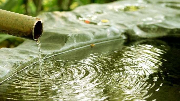 传统竹喷泉竹子植物树叶流水