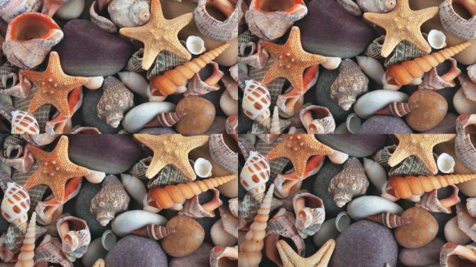 旋转的石头、海星、贝壳。
