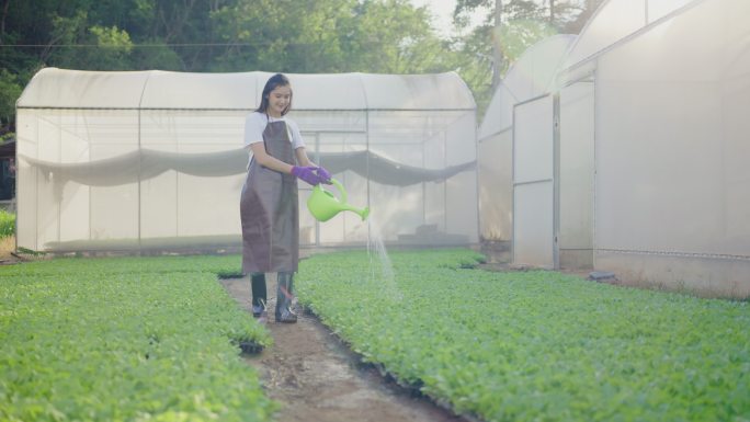 亚洲妇女在农场浇水